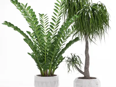 Houseplant 27 3D model