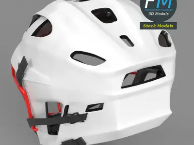 Field sport helmet 3D model