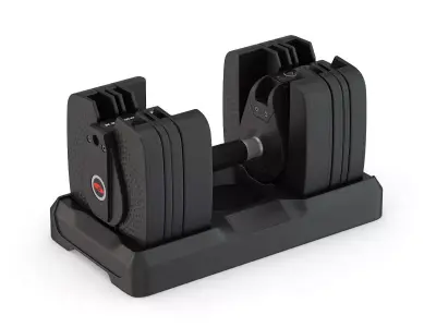 Bowflex SelectTech 560 Dumbbells 3D model