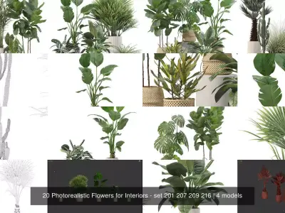 20 Photorealistic Flowers for Interiors - set 201 207 209 216 3D Model Collection