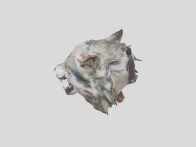 Wolf Head 3D Model Low-poly 3D model