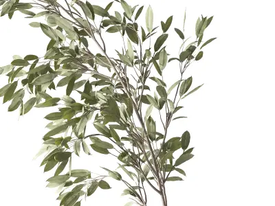 Plants Bouquet 08 3D model