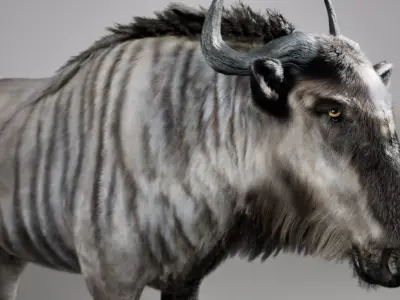 Wildebeest RIG UNREAL project  Maya base rig 3D model