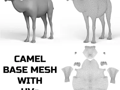Camel Base Mesh Low-poly 3D model purchase
