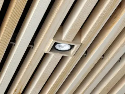 Wooden ceiling 2 3D model