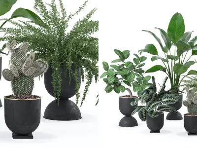 Plants collection 124 3D model