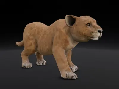 Lion Cub Animated 3D Model  Low-poly 3D model
