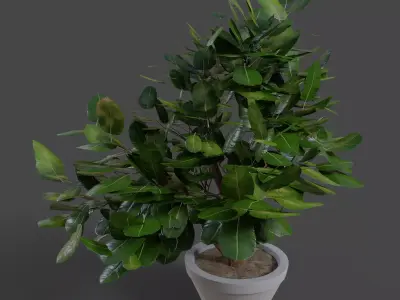 Small Plant Game Ready Low-poly 3D model Low-poly 3D model