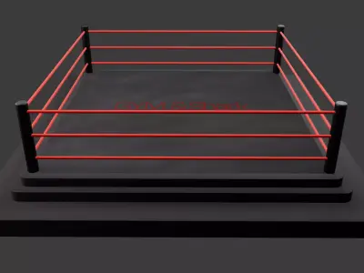  Modern Wrestling Ring 3D Model High-Quality Low-poly 3D model