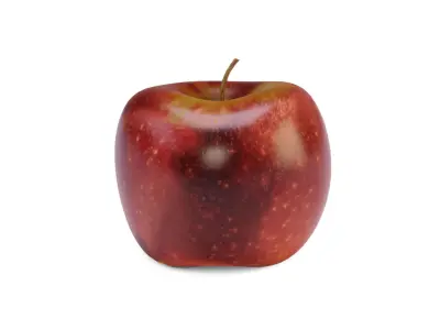 Apple Fruit 3D model