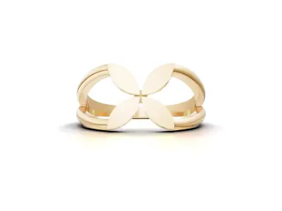 Minimal Abstract Ring 53 3D print model