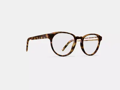 Whalen Eyeglasses in Acorn Tortoise 3D model