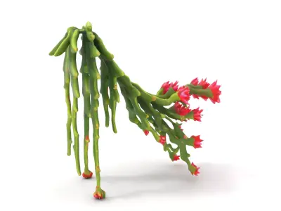 Vibrant Cactus Bloom model pack Low-poly 3D model