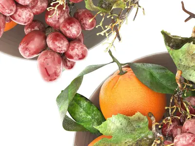 bowl of oranges and brown grapes fruit 3D model