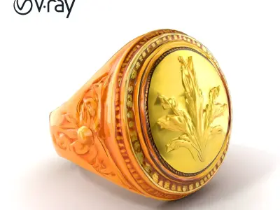 Luxurious Gold Signet Ring with Gemstone model pack Low-poly 3D model