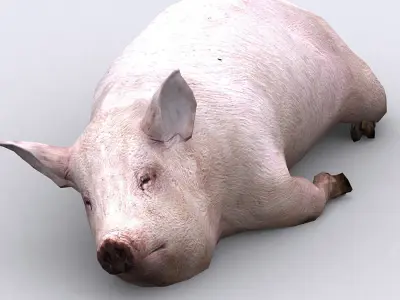 3DRT - Pig Low-poly 3D model
