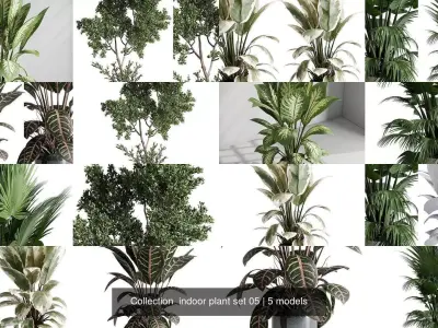 Collection  indoor plant set 05