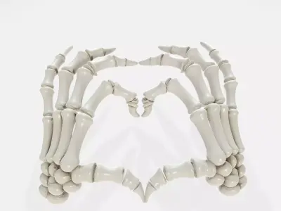 Skeleton Hands Heart Gothic Anatomy Bone Art 3D print model