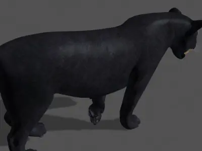 Panther no Fur - 3d model 3D model