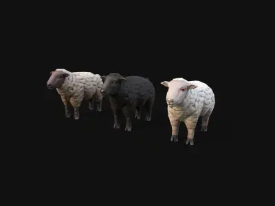 Mobile Sheep Low-poly 3D model