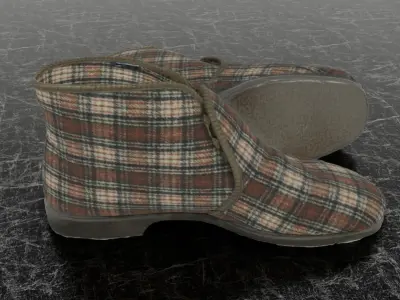 REINO TOSSUT SLIPPER 3D 3D model