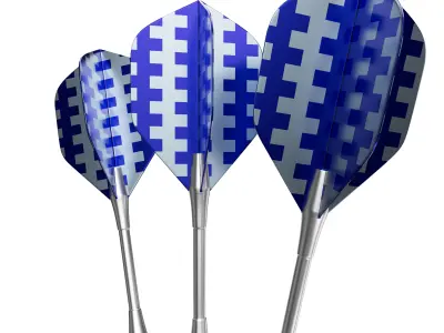 Dart Set 3D model