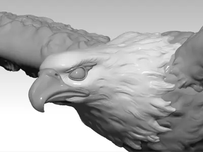 Bald eagle-3D print model 3D print model