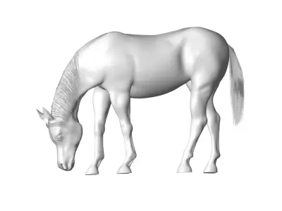 Horse 3D model 17
