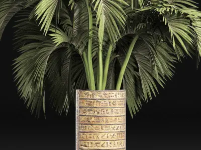 Plants Collection 163 Egyptian Palm 3D model