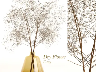 Dry Flowers 002 3D model