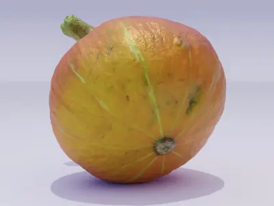 Ultra-realistic pumpkin high-poly 3D model
