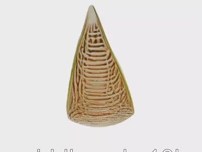 Honeydew Melon Slice Textured 3D Model Pack Low-poly 3D model