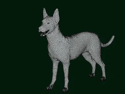 Zwergpinscher Dog Breed 3D model