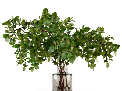 Branches in a vase 020 3D model