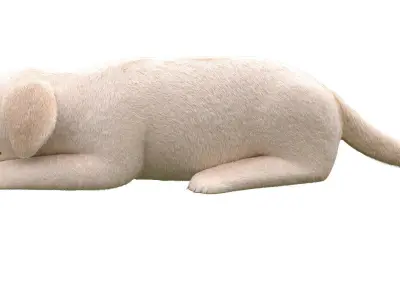 Golden Retriever puppies for kind designer hands 3D model