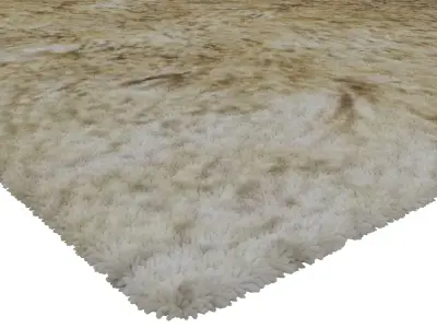 Rug Set 1064 3D model