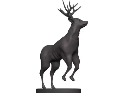 Mule Deer 3D model