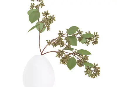 Sugar Gum Twigs in White Vase 3D model