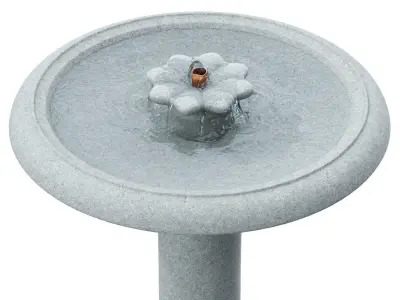 Camelia Birdbath Fountain 3D model