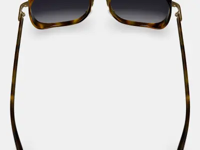 Fernanda Sunglasses in Cognac Tortoise with Polished Gold 3D model
