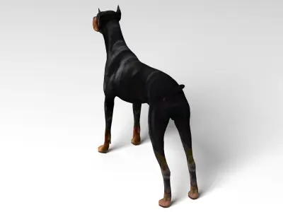 Doberman Dog Low-poly 3D model