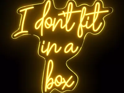 I do not fit in a box Neon Sign 3D model