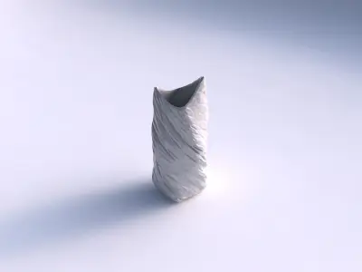 Vase twisted double arc quadratic with twisted rocky bulges 3D print model