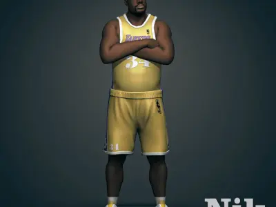Shaquille O Neal 3D Printable 2 3D print model