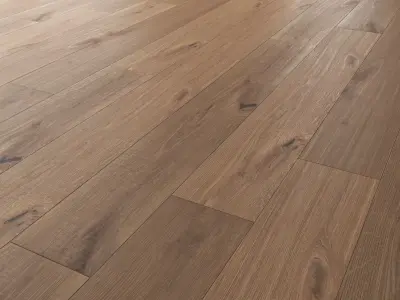 Wood Floor Oak Vergne Wild Wood 3D model