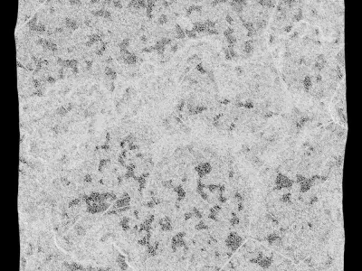422-RockPanel rock texture 3D model