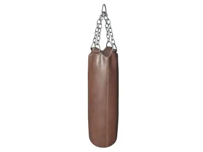 Punching Bag 3D model