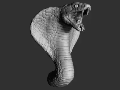 Cobra Head 3D model