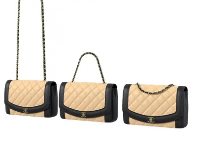 Vintage Medium Diana Flap Bag Black Cream  Low-poly 3D model