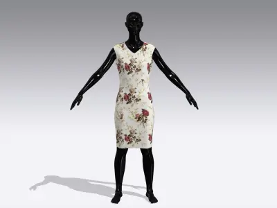 Female Cloth Dress Low-poly 3D model